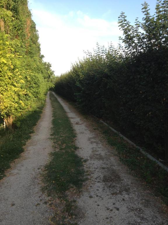 Societa Agricola Le More Agriturismo La Dondina Budrio  Kültér fotó