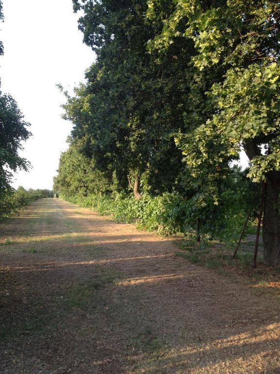 Societa Agricola Le More Agriturismo La Dondina Budrio  Kültér fotó